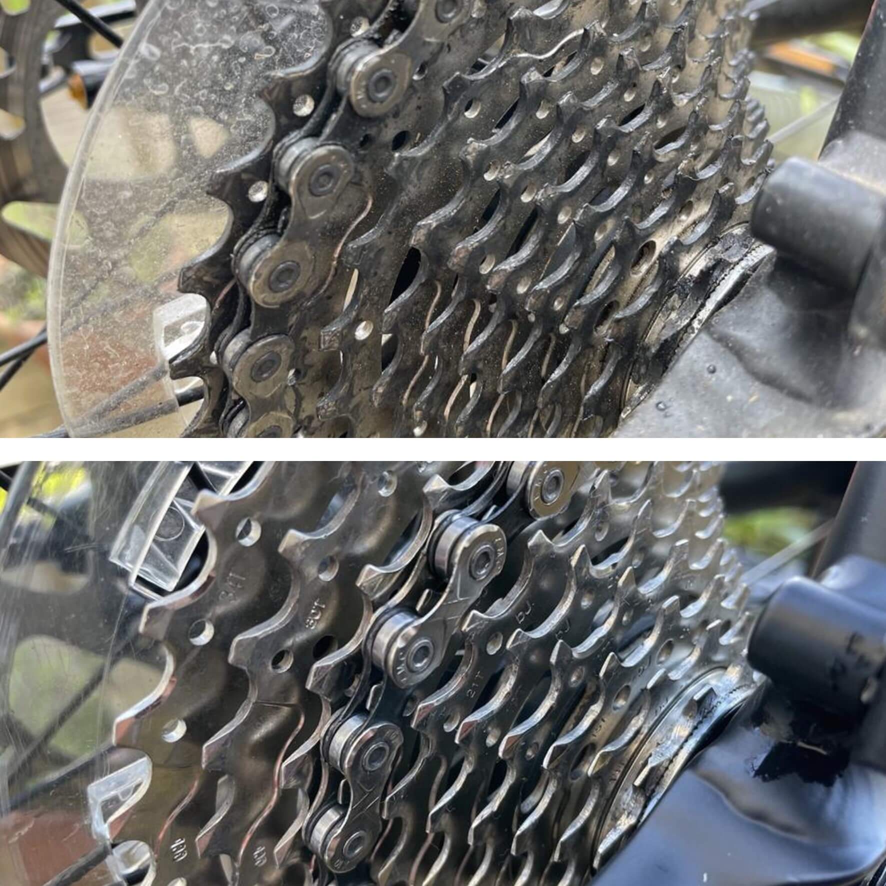 Cycle & Chain Oil For Bikes - Synthetic All Weather Version (100ml