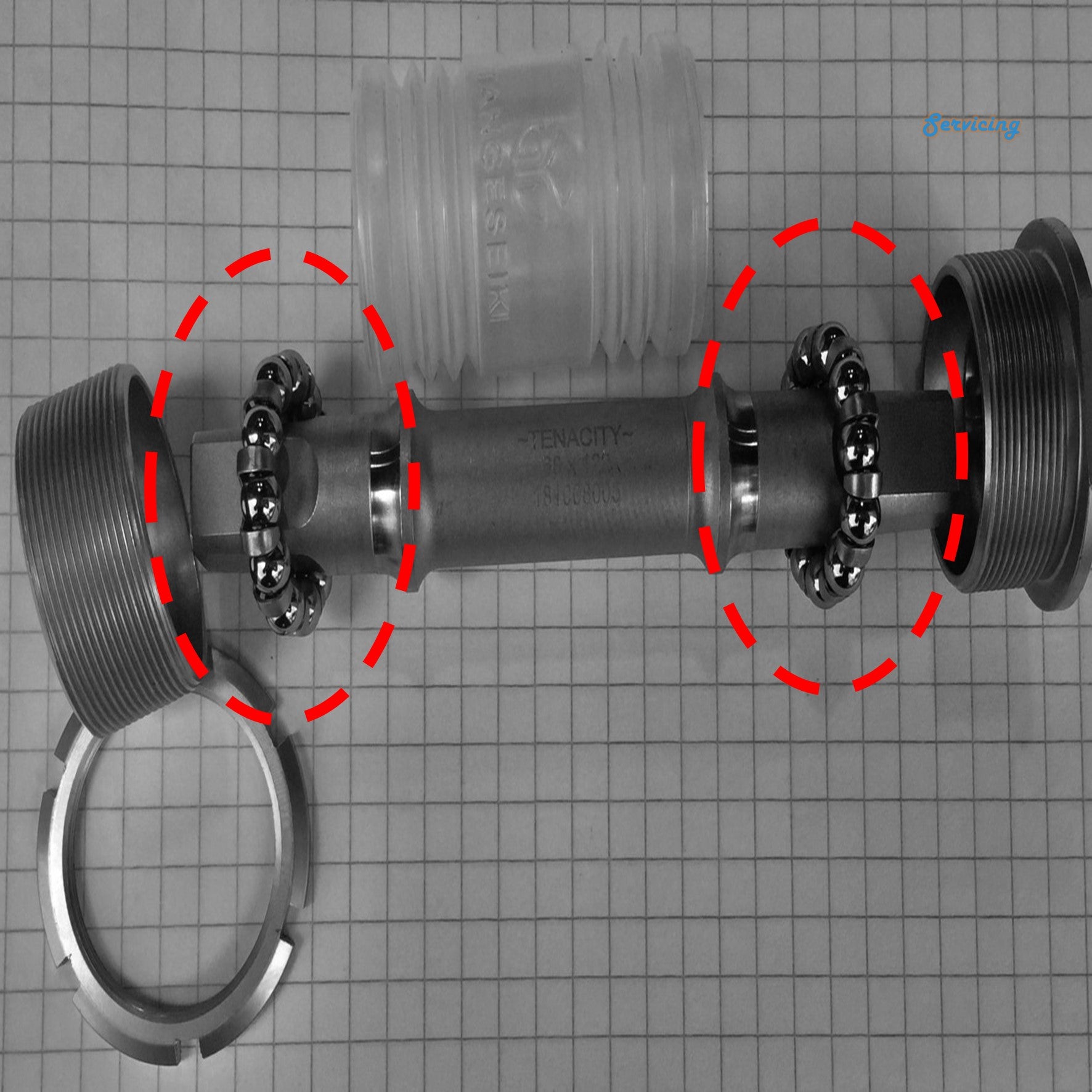 1/4" Ball Ring Bicycle Bottom Bracket Bearing – Internal Pedal Bearing For Fixie / Universal Bike